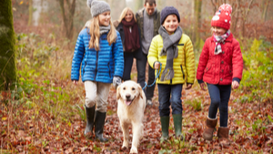 family and dog walking through winter woodland